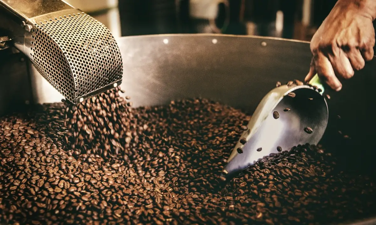 Specialty Coffee Brand (Amazon & Online Store)